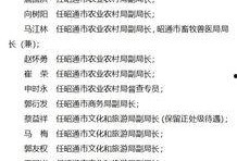 昭通新闻最新爆料,重大事件背后真相揭晓