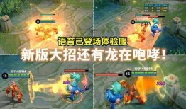 龙骑士优化最新爆料,揭秘最新爆料背后的神秘力量