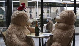 熊熊出没最新一季爆料,探险新篇章，友谊再升级！