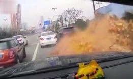 动车砍刀事件最新爆料,细节披露，真相渐明