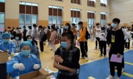 新闻爆料鸟死人最新消息,最新爆料揭示“鸟死人”惊人真相”